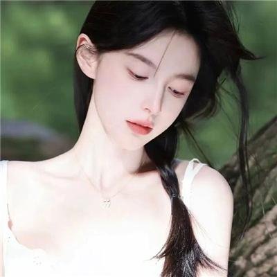 如果历史是一群喵宋辽金夏篇
