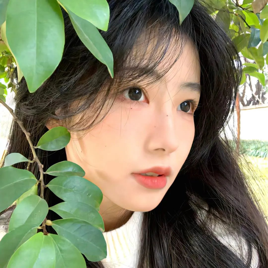七个秘书特别篇